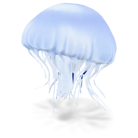 A pale translucent jellyfish.