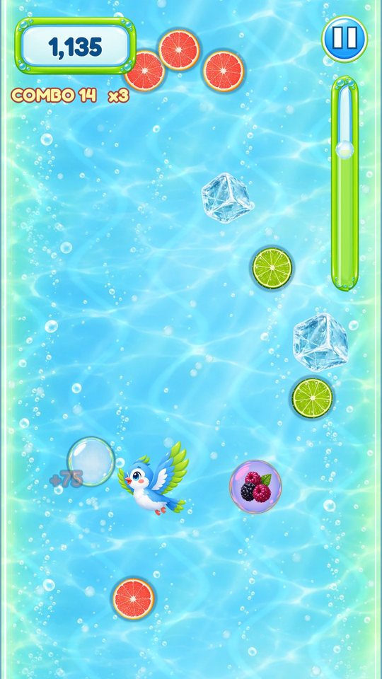 A bubble rising through sparkling water past grapefruit and lime slices, with the bird mascot and a combo counter