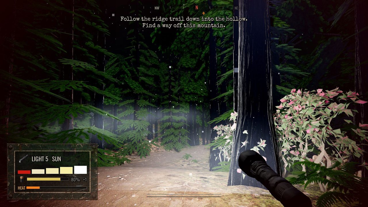 First-person view on a forest trail, the flashlight on its brightest setting lighting rhododendrons and a tree trunk, the heat meter rising in the HUD